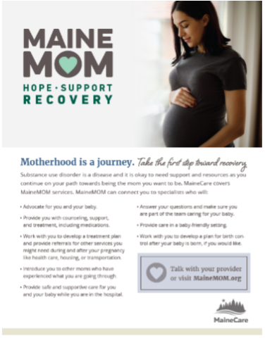 MaineMOM information flyer